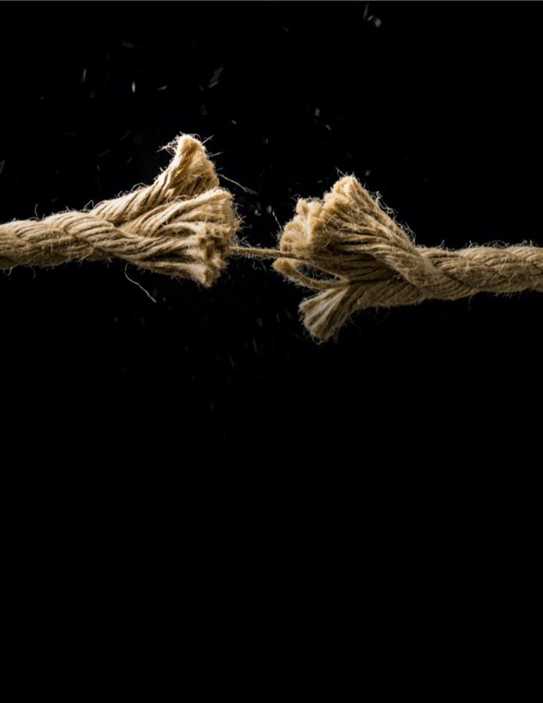 Forbes__0024_Pandemic Forbes 1.jpg