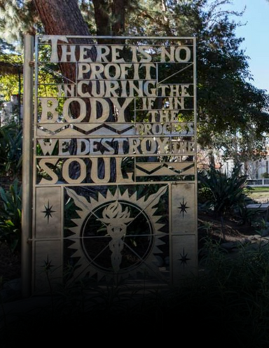 Transformation Requires That You Stay True To And Evolve Who You Are.png